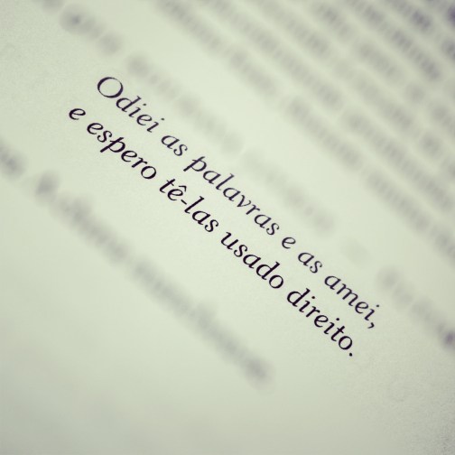 quote-ameninaqueroubavalivros