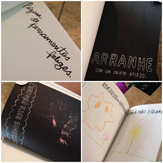 destrua-este-diario-2