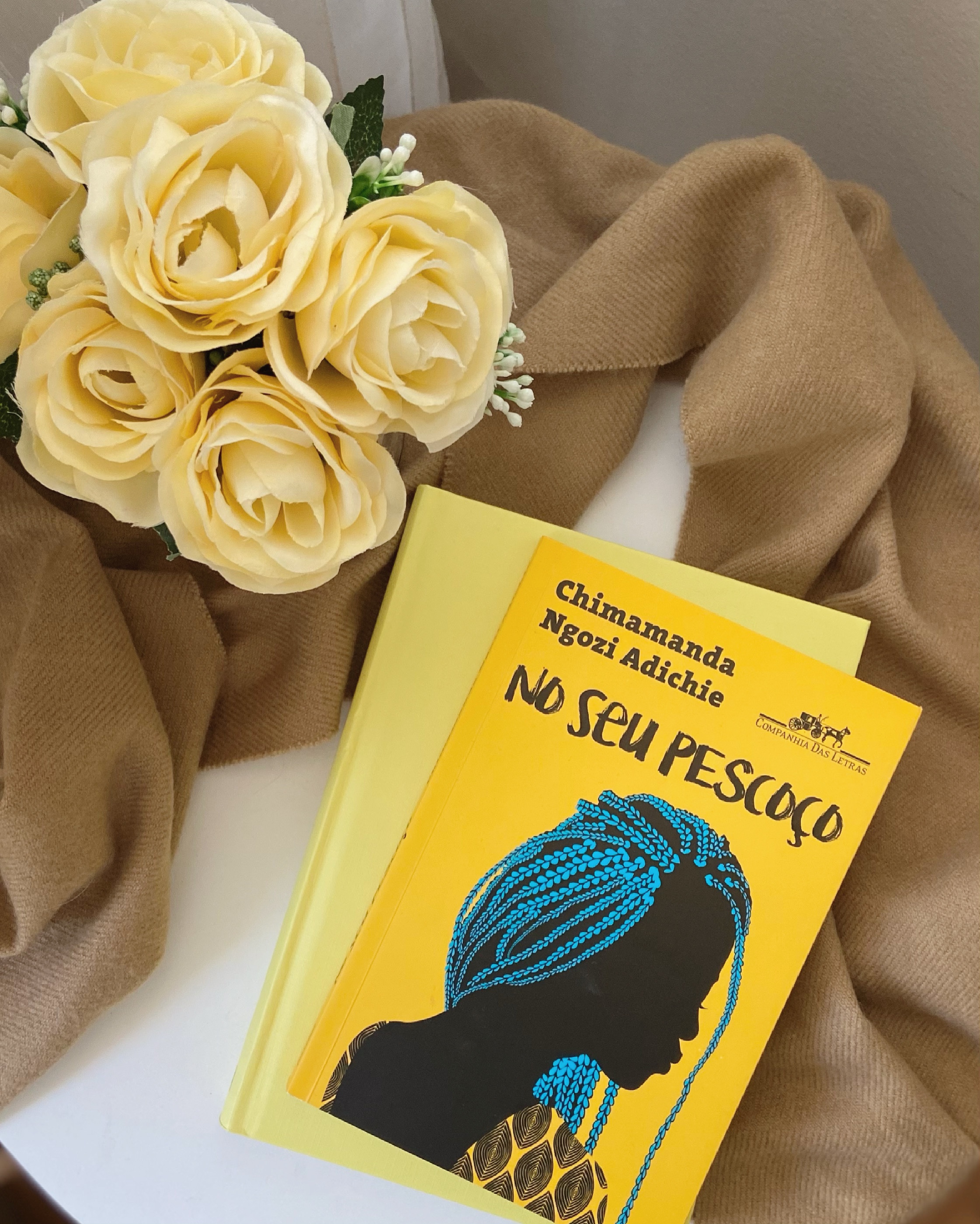 Resenha de No seu pescoço – Chimamanda Ngozi Adichie – Namanita